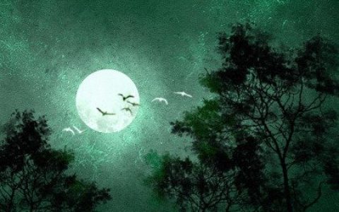 紫微斗數上等命格有哪些 六吉星落于命宮