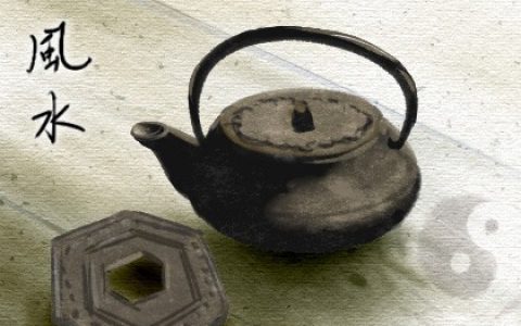 老家種那些樹風(fēng)水好又旺財 蓬萊松招財轉(zhuǎn)運長壽吉祥