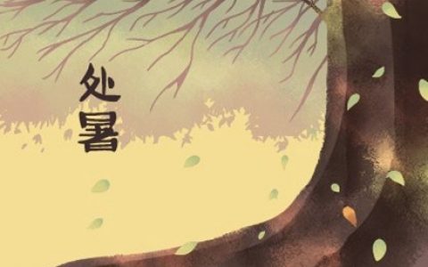 桑松木命適合開什么顏色的車