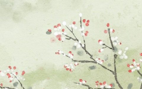 辦公室擺設，你知道女性辦公桌上的4大風水禁忌嗎？