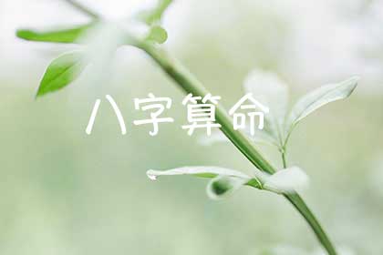 完全免費卜卦算終生，終生財運導出（易經天心卜卦 終生卦）